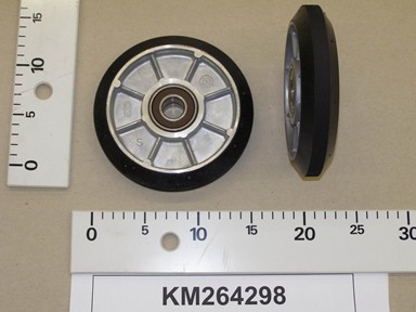 KM264298