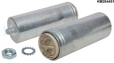 KM264451