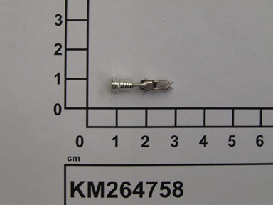 KM264758