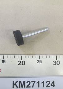 KM271124