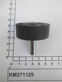 KM271125