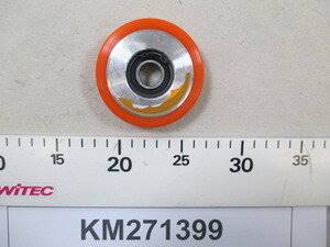 KM271399