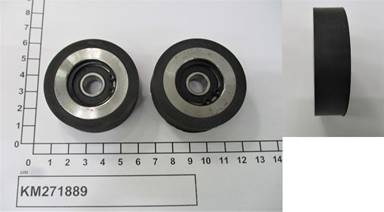 KM271889