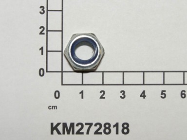 KM272818