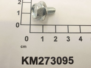 KM273095