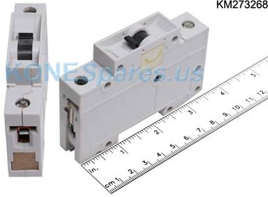 KM273268