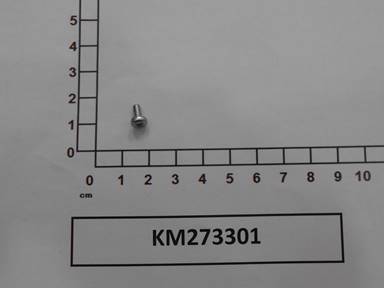 KM273301