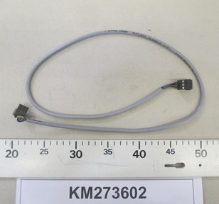 KM273602