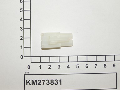 KM273831