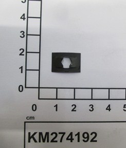 KM274192