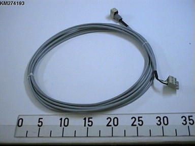 KM274193