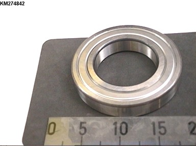 KM274842
