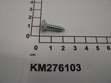 KM276103