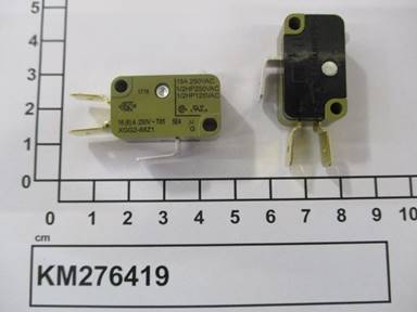 KM276419