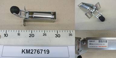 KM276719