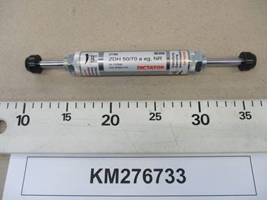 KM276733