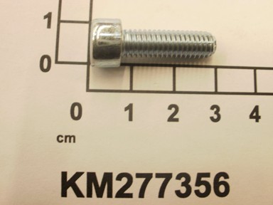 KM277356