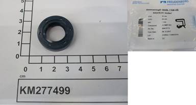 KM277499