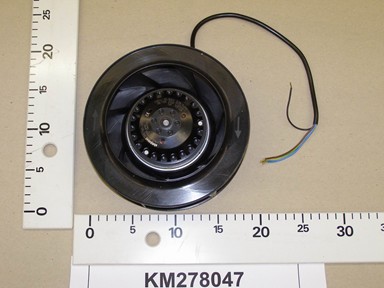KM278047