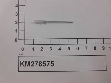 KM278575