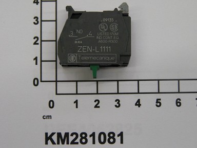 KM281081