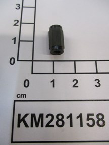KM281158