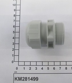 KM281499
