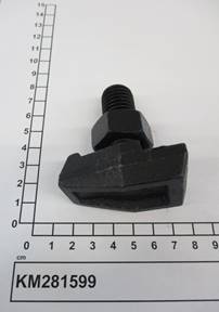 KM281599