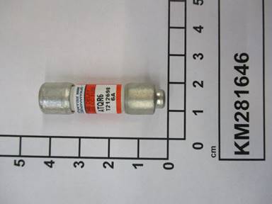 KM281646