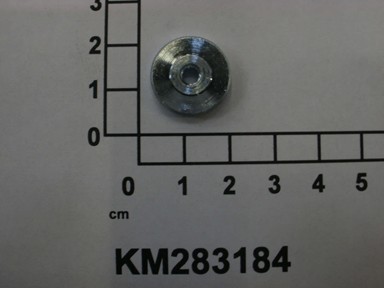 KM283184
