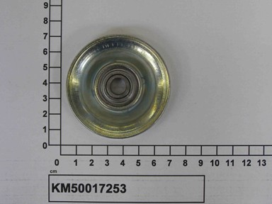 KM50017253