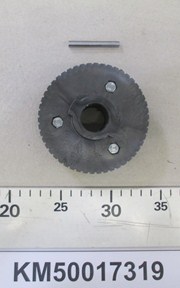KM50017319