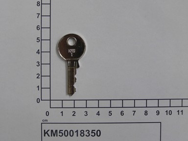 KM50018350