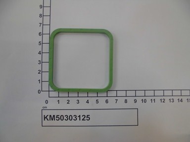 KM50303125