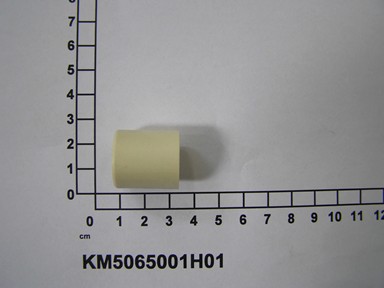 KM5065001H01