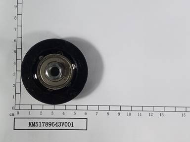 KM51789643V001