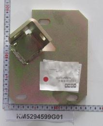 KM5294599G01