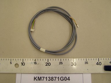 KM713871G04