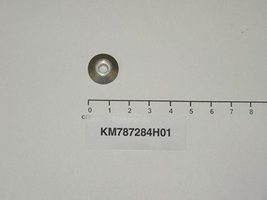 KM787284H01