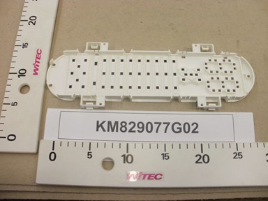 KM829077G02