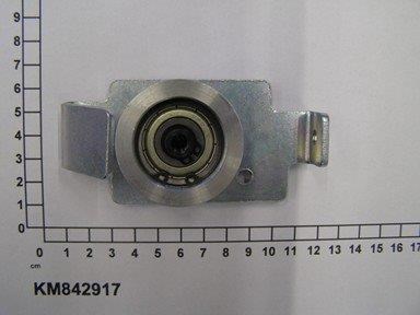 KM842917
