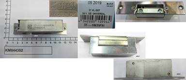 KM844352