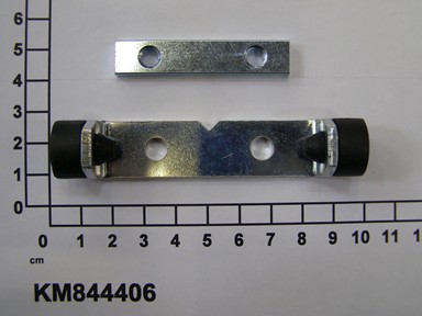 KM844406