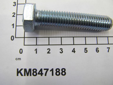 KM847188
