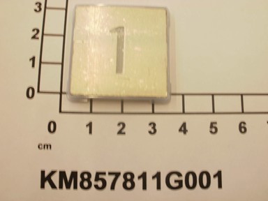 KM857811G001