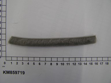 KM859719