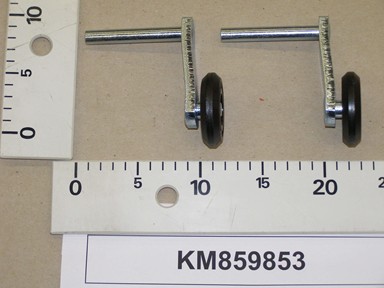 KM859853