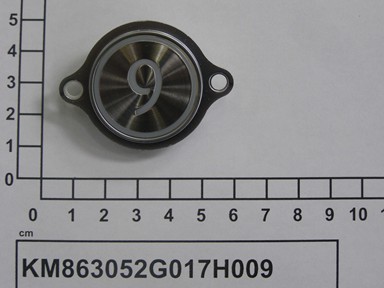 KM863052G017H009