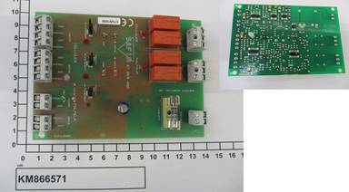 KM866571