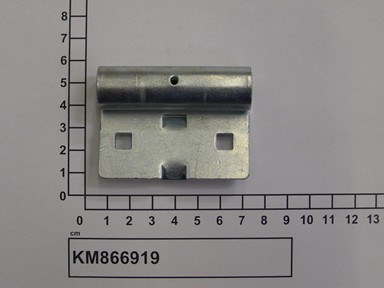 KM866919